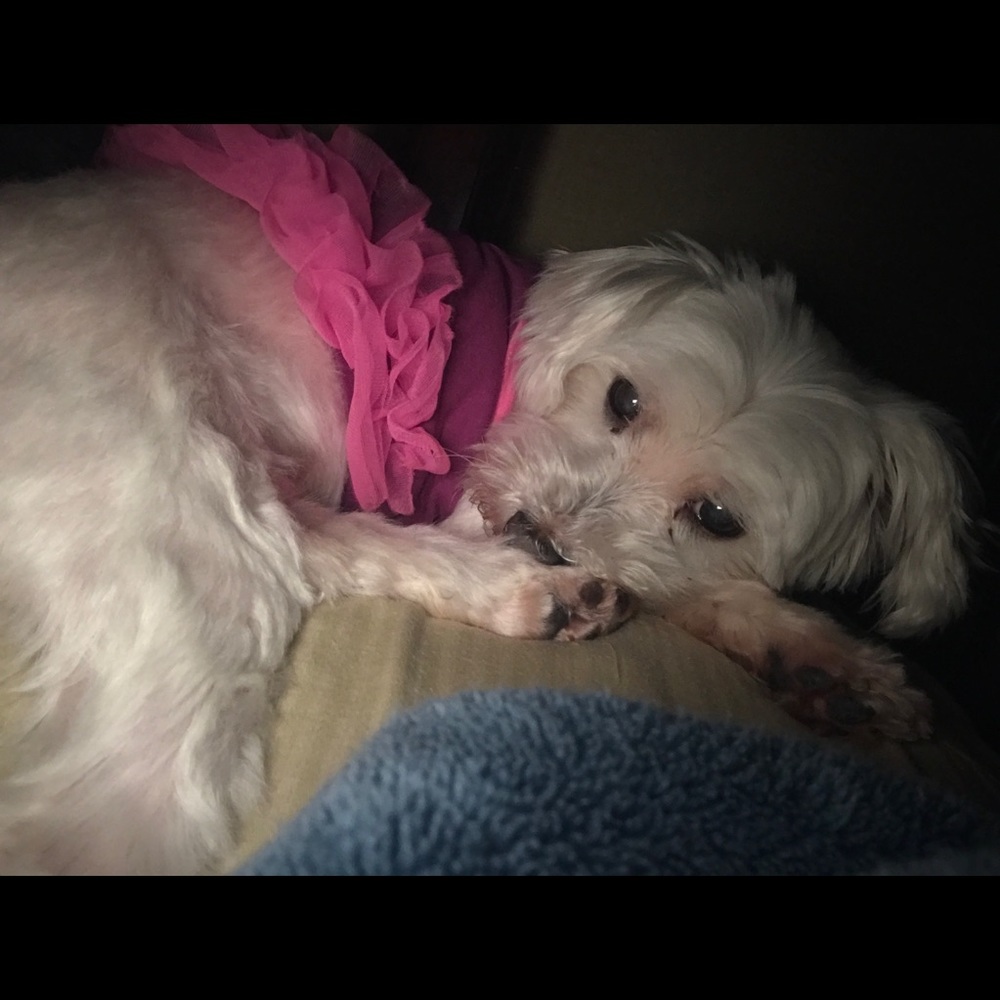 Meet your Posher, Liezel